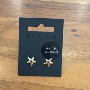 Pilgrim Gold FORCE RECYCLED Starfish Earrings
